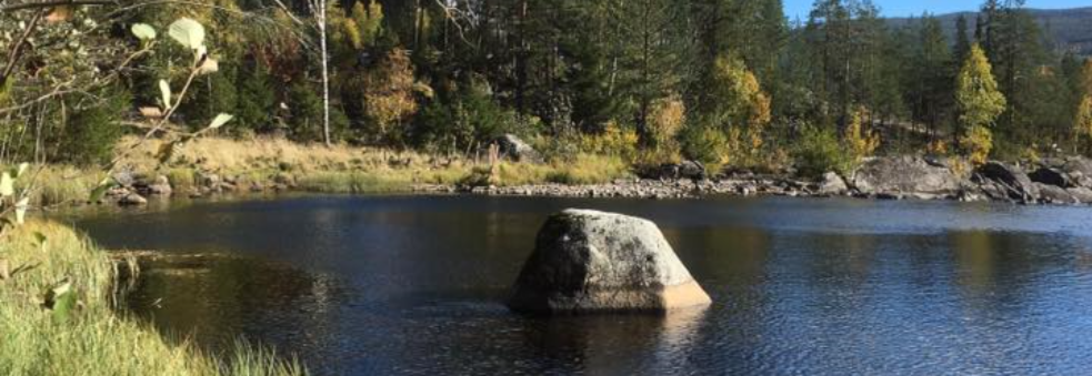 Hallingdalselva på langs